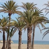 Maribel De Agustin Jimenez