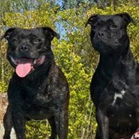 Ainhoa Cristian Ainchris Sbt Gonzalez