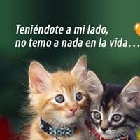 Yolanda Quispe Llacctahuaman