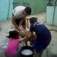 Ricardo Javier Pereyra
