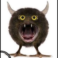 Teresa Martin-Toledano