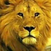 Alberto Suarez Martinez