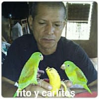 Rodolfo Andres Paiz Salgado