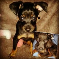 Antonio Rodriguez Arano