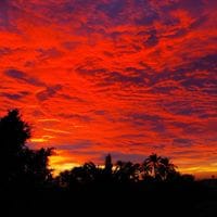 Juan Carlos Rico Alberola