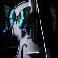 Diana Juarez O. Baskerville