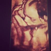 Carolina Vasquez Orellana