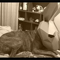 Helder Flavio Guerreo Vallejo