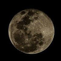 Cristina Badillo Serrano