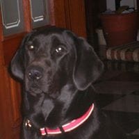 Ana Maria Rios Ojeda