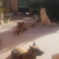 Jesús María Alonso