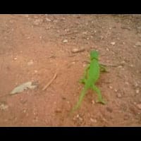 Víctor Mateos Gutiérrez