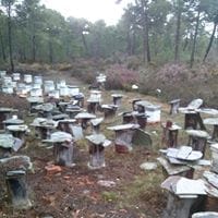 porfirio de dios gonzalez