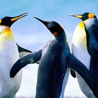 mario castillo cuenca