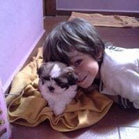 José Raúl Gamboa Alassio