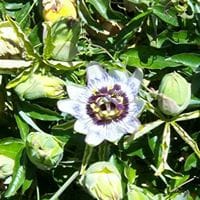 Jesus Lopez-Gay Belda