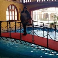 Any Urzua