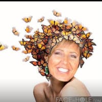 Fava Mónica