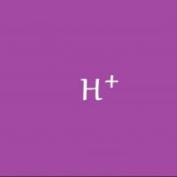 Daniel Pérez Ballesta