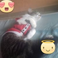 Juanita Ducuara Velasquez