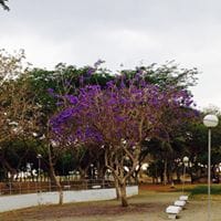 María Hernández