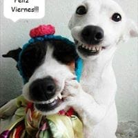 Jacqueline Rodriguez