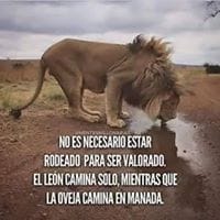 Jhordan Alvarez Ragas