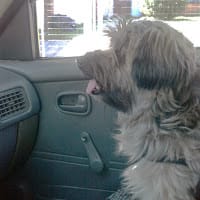 Diego Godoy