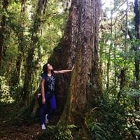 Génesis Zamora Tencio