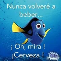 David Reloba Rojo