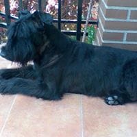 Jose Luis Villacampa