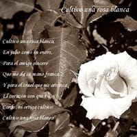 Andres Martha Castro