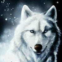 Francisco Javier Izquierdo Mora