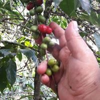 Irma Yolanda Avila Argueta