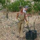 Carmen Llosa GildeBiedma