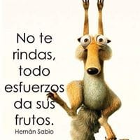 Rosana Fernández Montoro