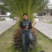 EDWAR CARI MENDOZA
