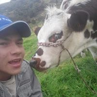 Wilfredo Vargas Cely
