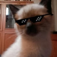 Rocket WTF