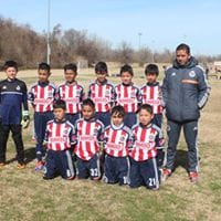 Fuerzas Basicas Chivas