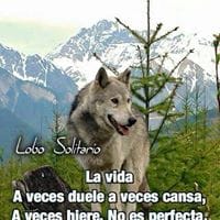 J.S. Chavez