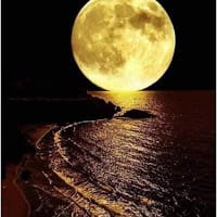 Helena Martinez Rodriguez