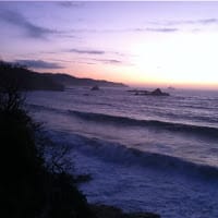 Sol De Miel