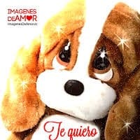 caritoalejandra ortiz