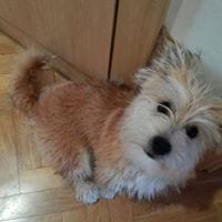 Veronica Mateu Gordo