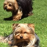 Laura Candela Torres