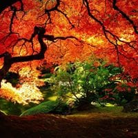 Jhon Jario Morales Garcia