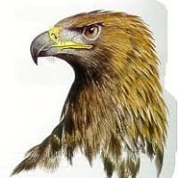 Francisco Javier Garcia Sarmiento