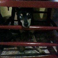 Ana Lucia Alvarez Rendon