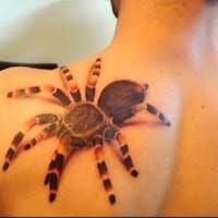 Carlos Chavarria zuluaga maga